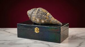 Vishnu Ji Shankh  (Small)